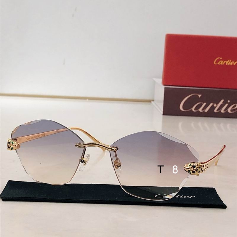 Cartier CT0476S 54 18-140 H02