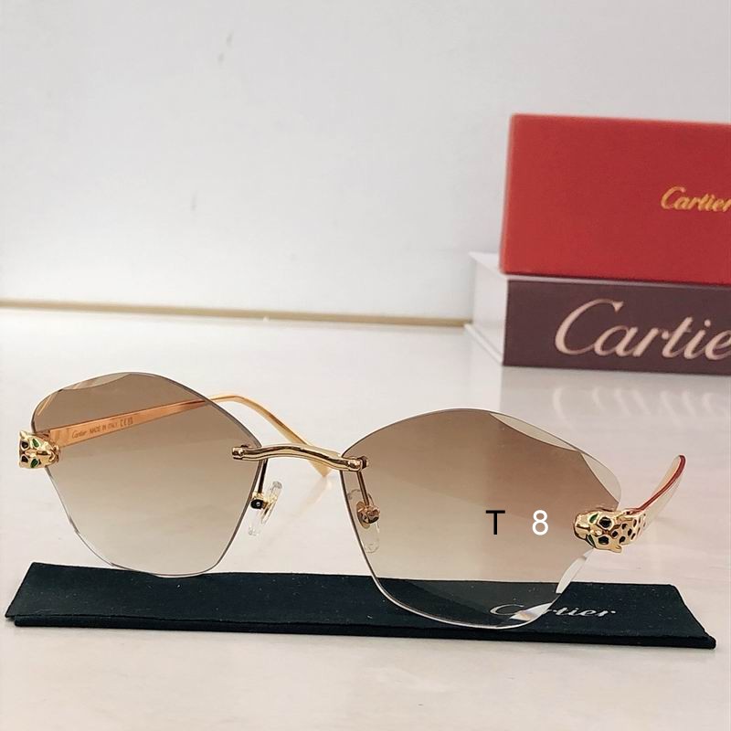 Cartier CT0476S 54 18-140 H05
