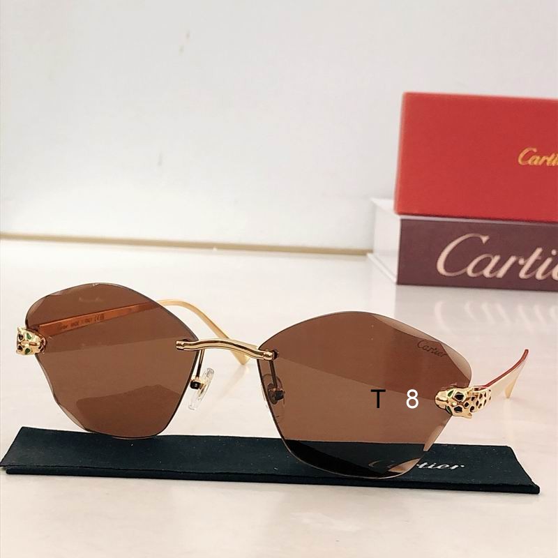 Cartier CT0476S 54 18-140 H06