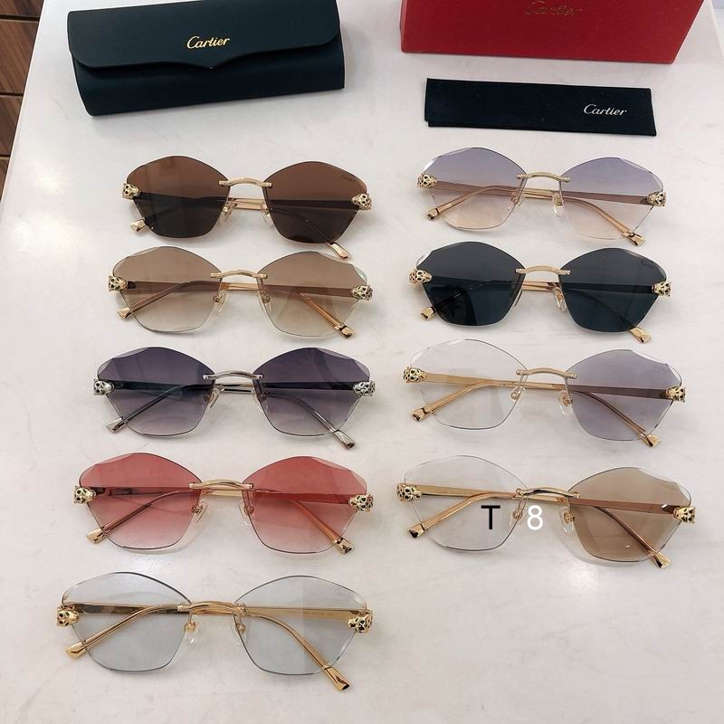 Cartier CT0476S 54 18-140 H10