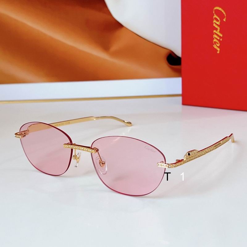 Cartier CT0486S 60 18 140 a02