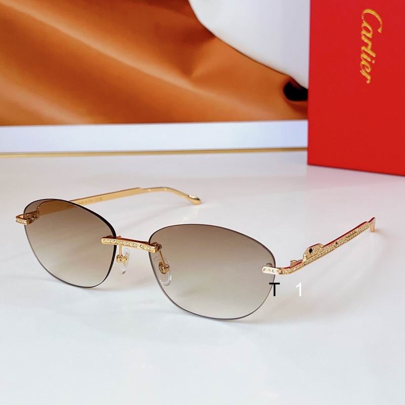 Cartier CT0486S 60 18 140 a04