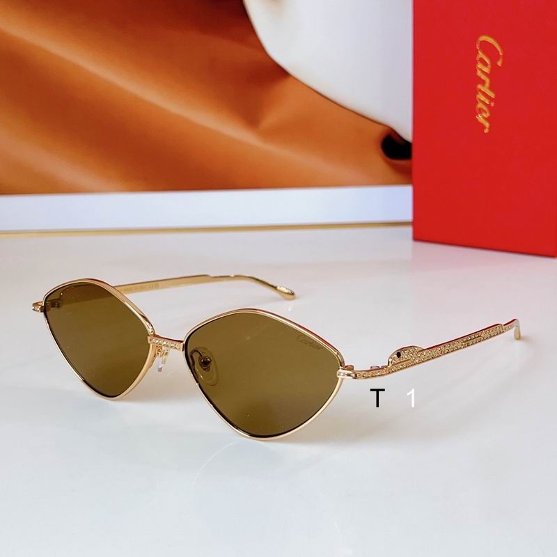 Cartier CT0489S 60 15 140 a01