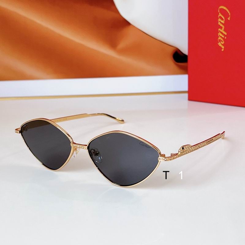 Cartier CT0489S 60 15 140 a03