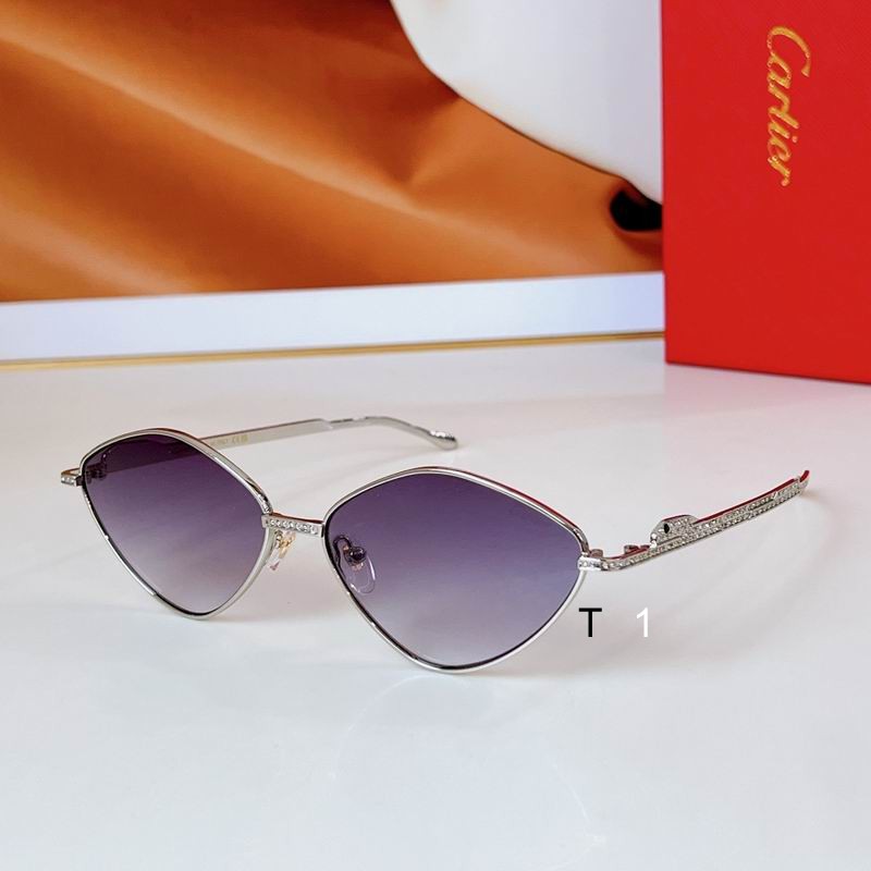 Cartier CT0489S 60 15 140 a04