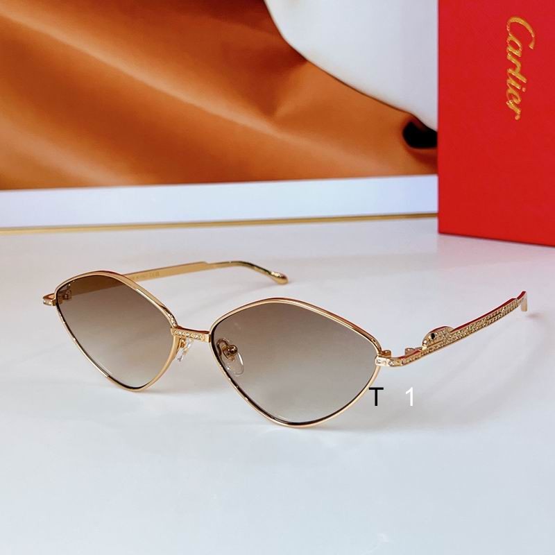 Cartier CT0489S 60 15 140 a05