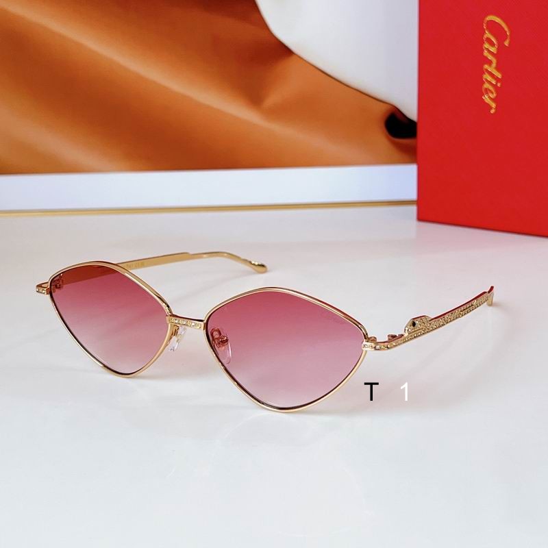 Cartier CT0489S 60 15 140 a06