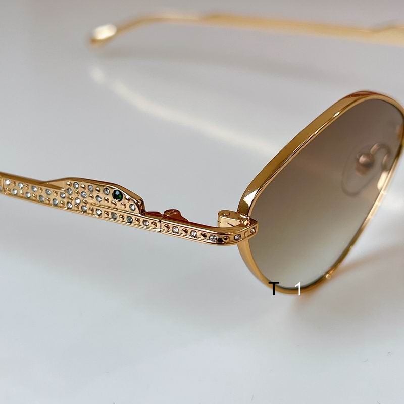 Cartier CT0489S 60 15 140 a07