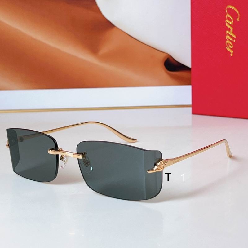 Cartier CT0503S 48 21-145 a02