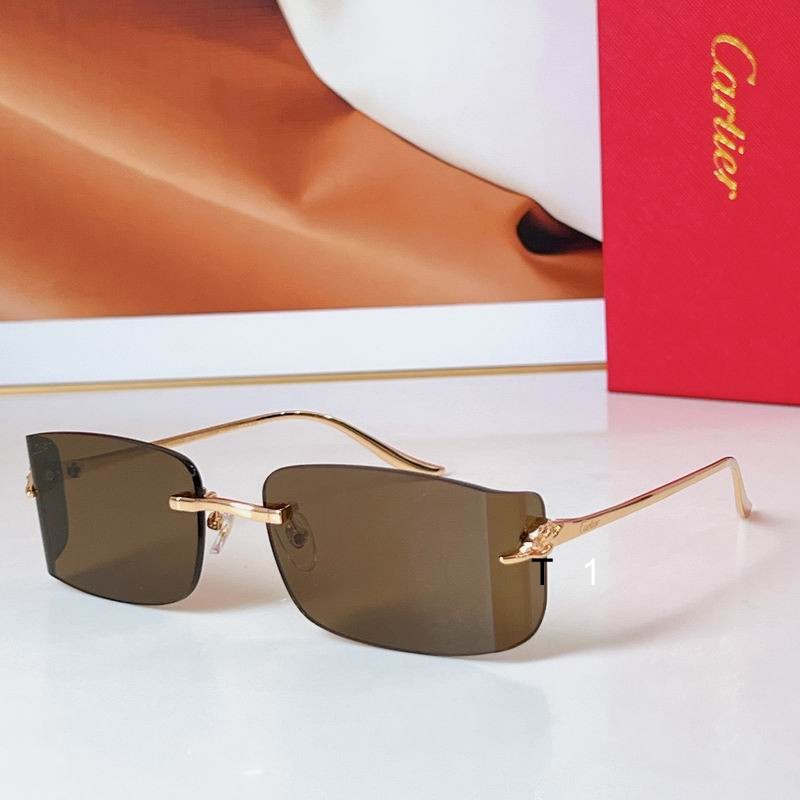 Cartier CT0503S 48 21-145 a04