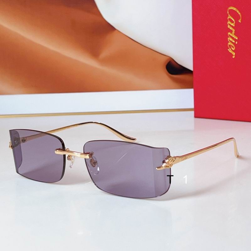 Cartier CT0503S 48 21-145 a05