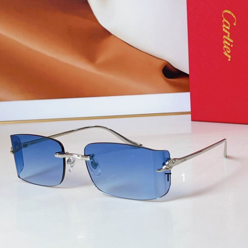 Cartier CT0503S 48 21-145 a06