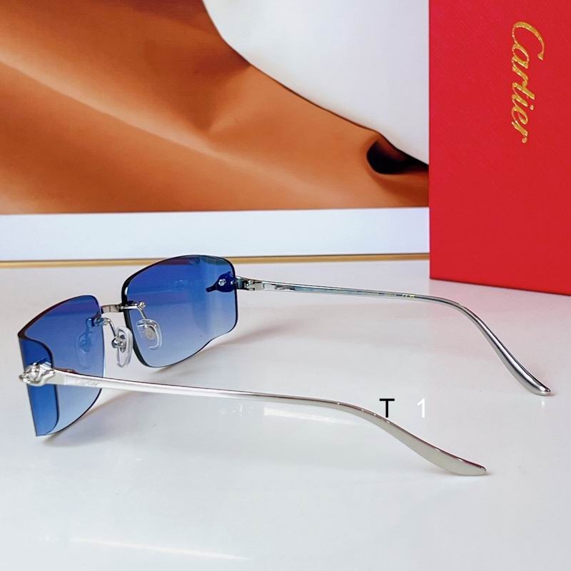 Cartier CT0503S 48 21-145 a07