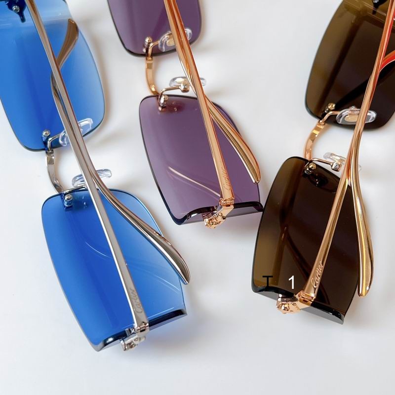 Cartier CT0503S 48 21-145 a08