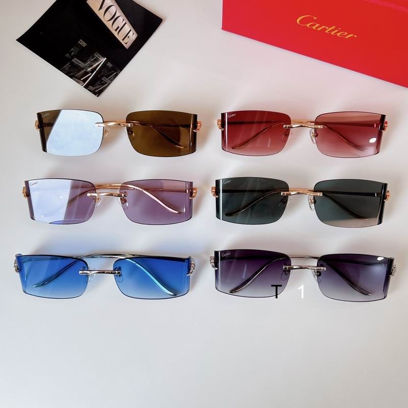 Cartier CT0503S 48 21-145 a09