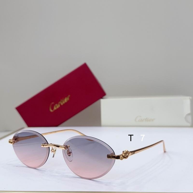 Cartier CT0504S 61 14-137 G04