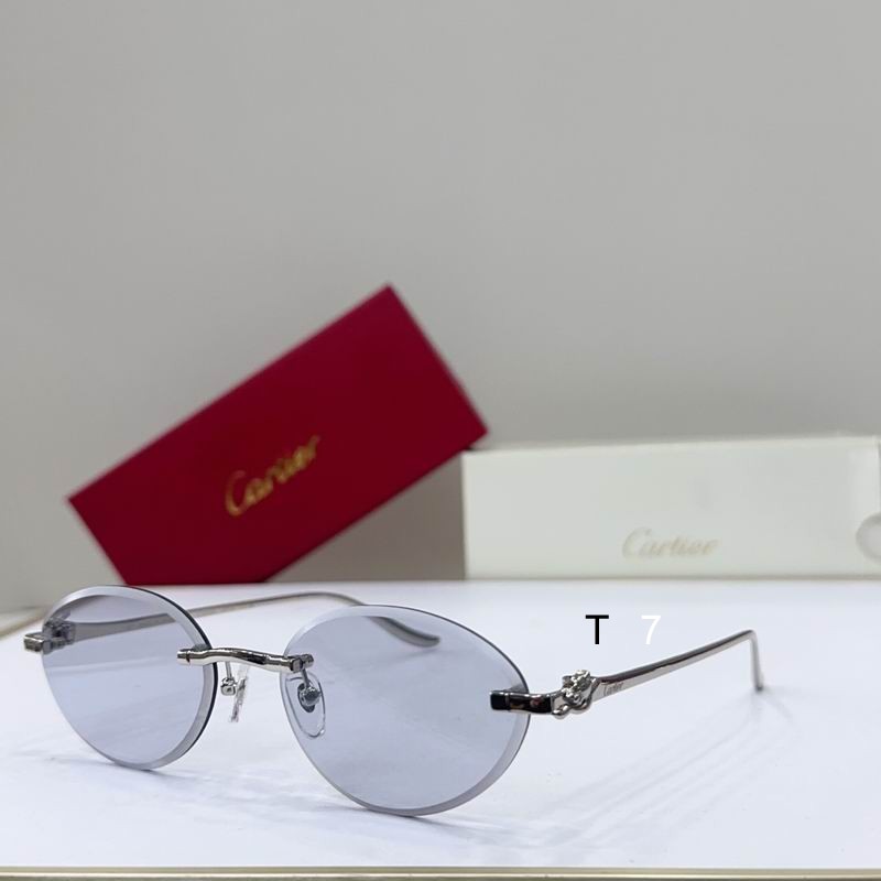 Cartier CT0504S 61 14-137 G05