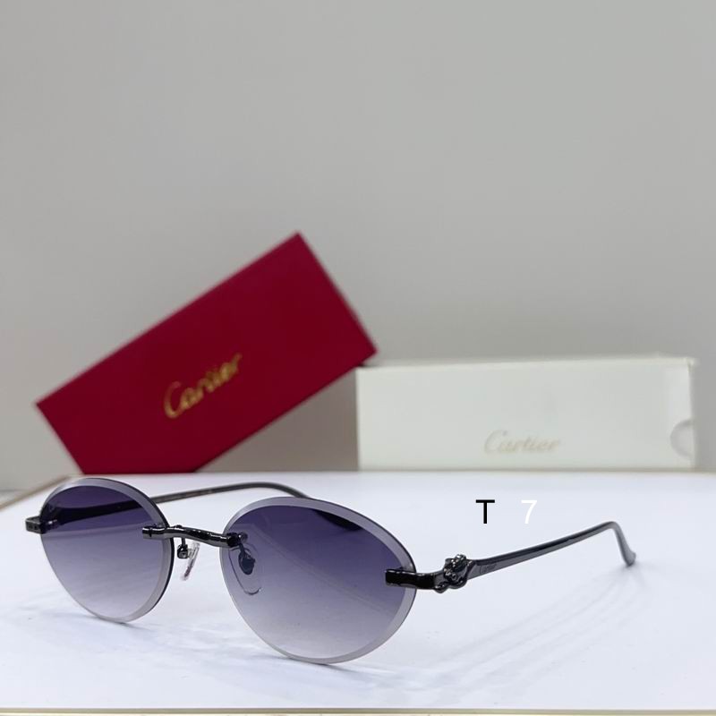 Cartier CT0504S 61 14-137 G06