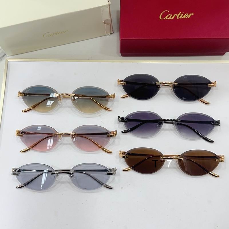 Cartier CT0504S 61 14-137 G08
