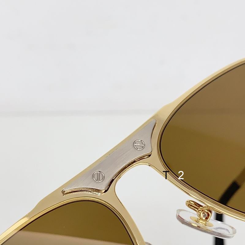 Cartier CT0533 54 20-145 b06