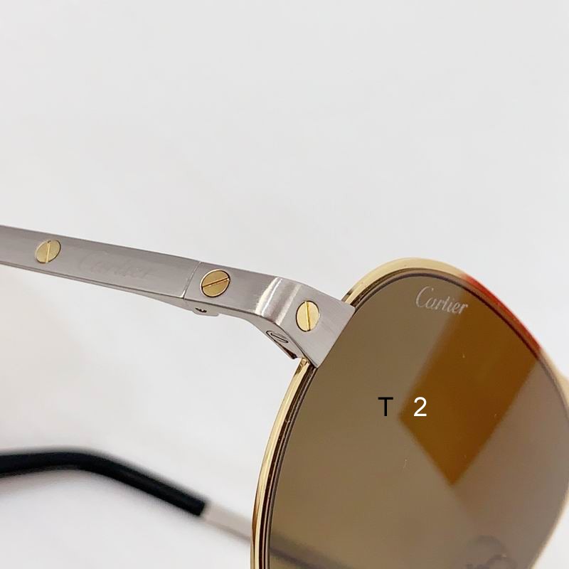 Cartier CT0533 54 20-145 b07