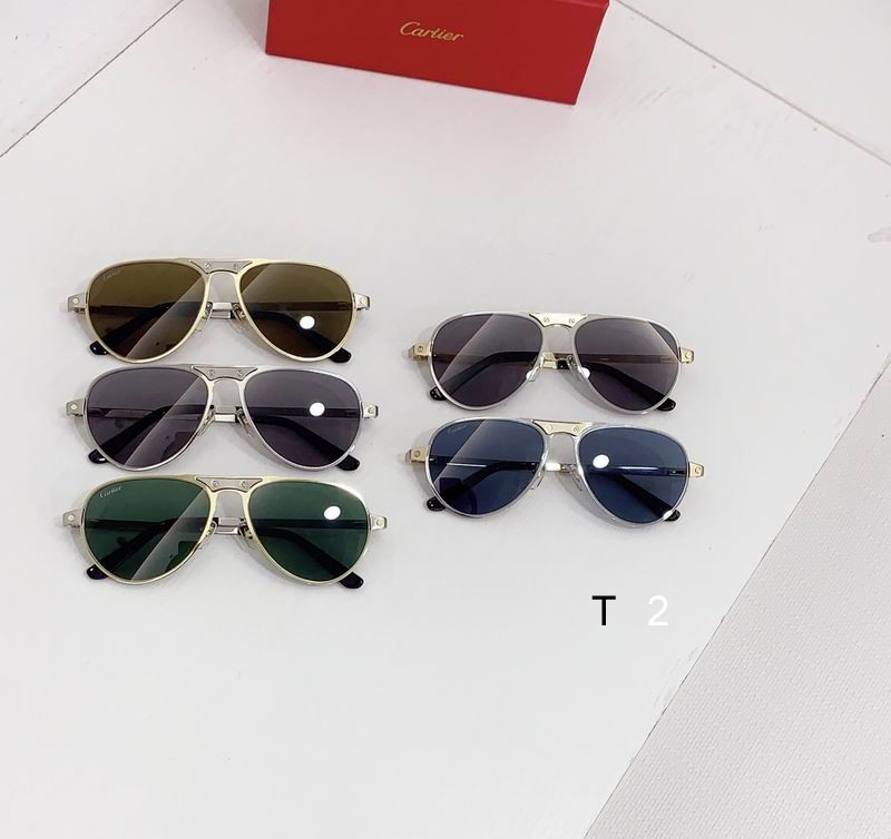 Cartier CT0533 54 20-145 b09