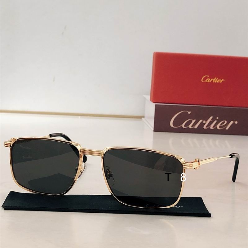 Cartier CT0534S 58 18-137 H06