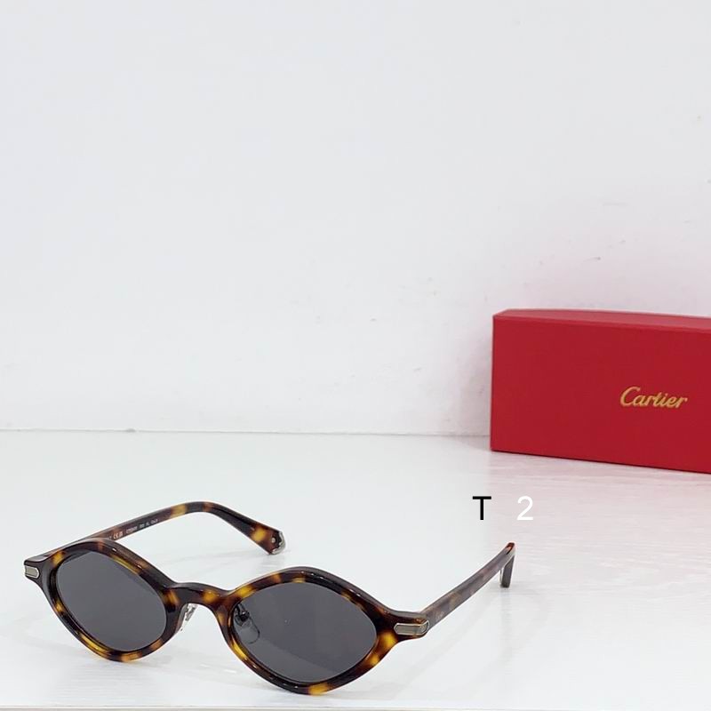 Cartier CT0540S 48 21-145 b03