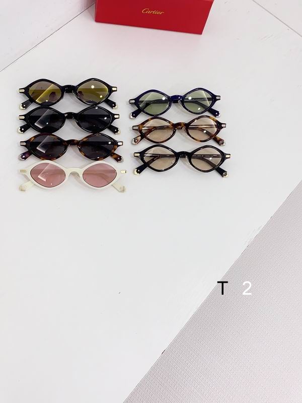 Cartier CT0540S 48 21-145 b09