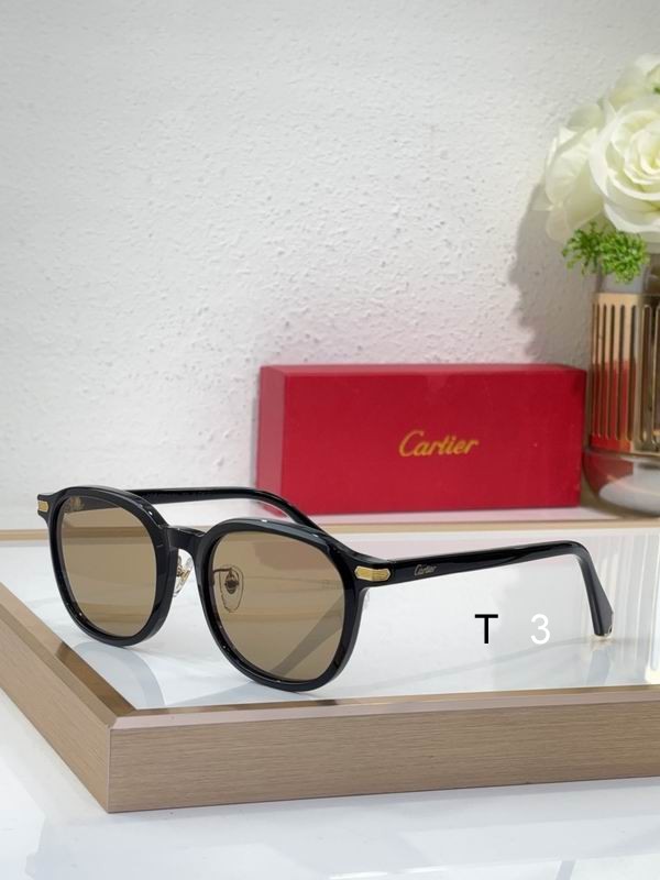 Cartier CT0541S 48 21-145 c04