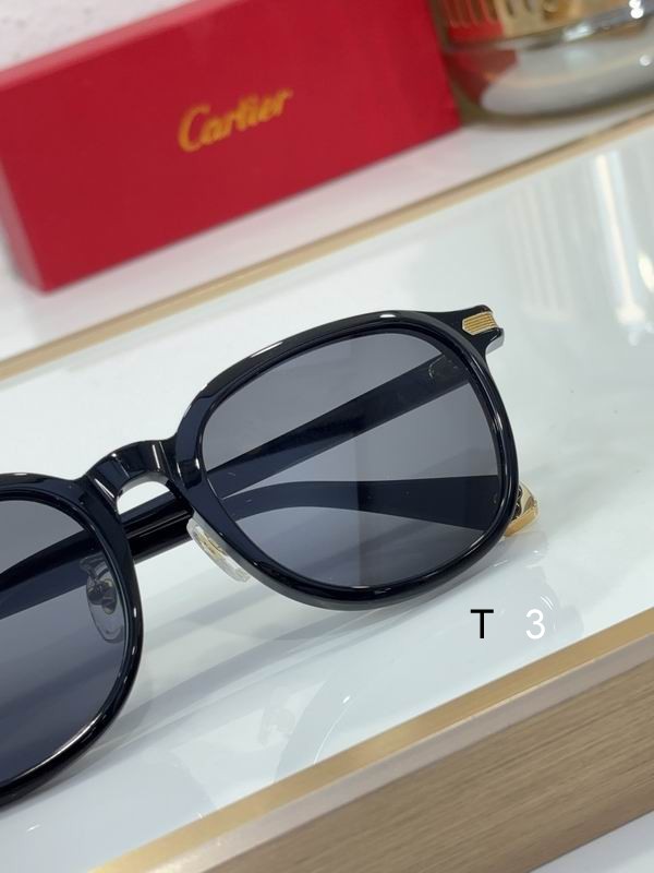 Cartier CT0541S 48 21-145 c08