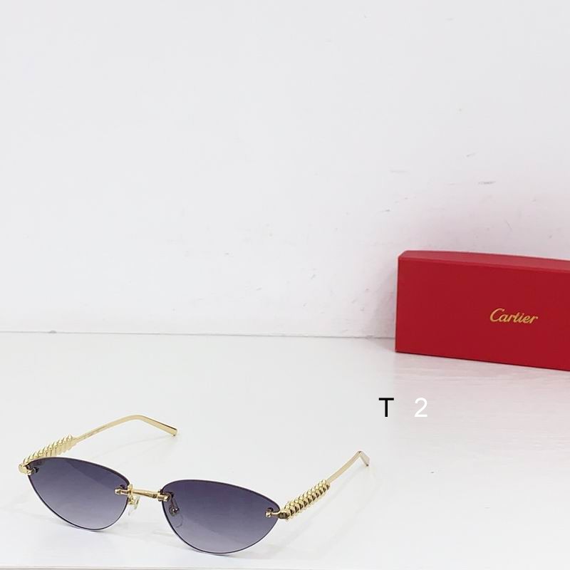 Cartier CT0543S 48 21-145 b01
