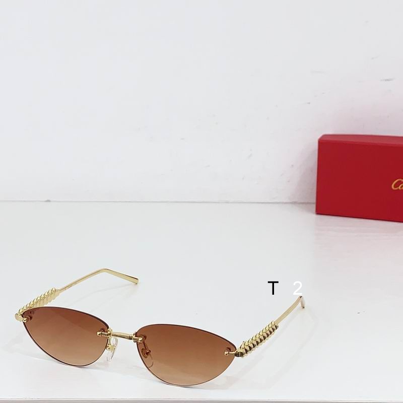 Cartier CT0543S 48 21-145 b03