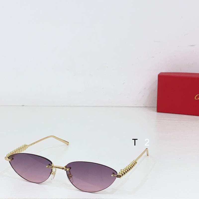 Cartier CT0543S 48 21-145 b04