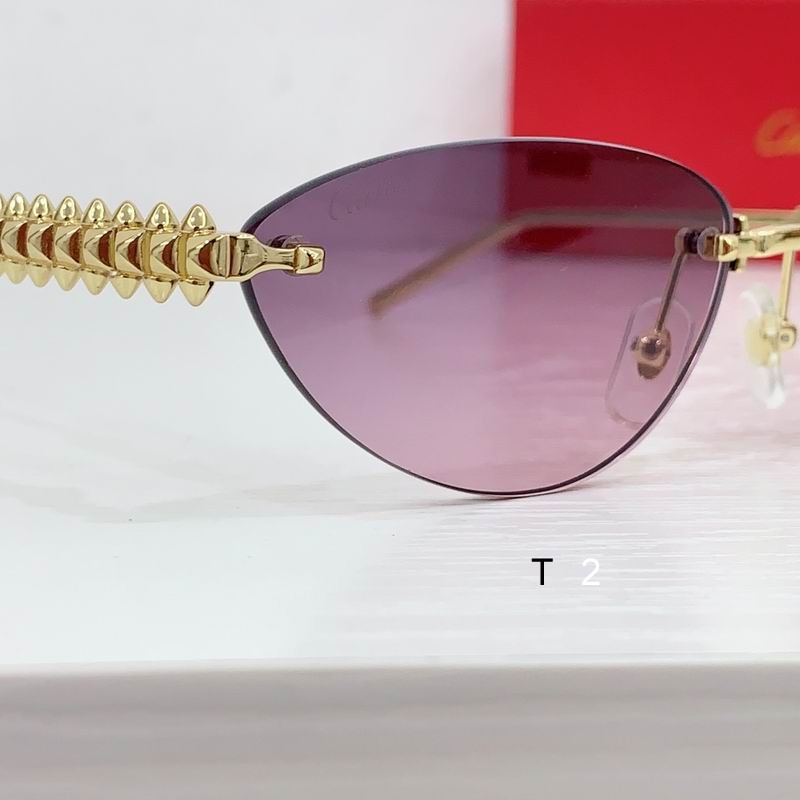 Cartier CT0543S 48 21-145 b07