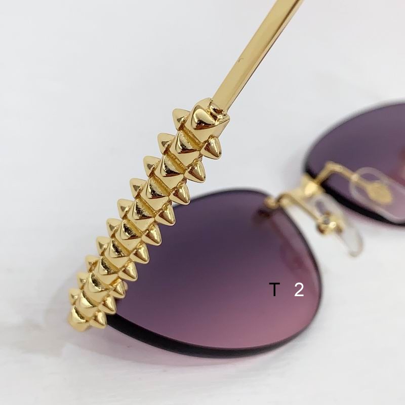 Cartier CT0543S 48 21-145 b08