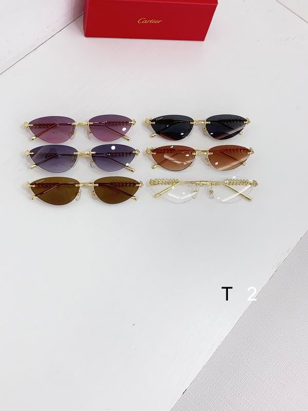 Cartier CT0543S 48 21-145 b09