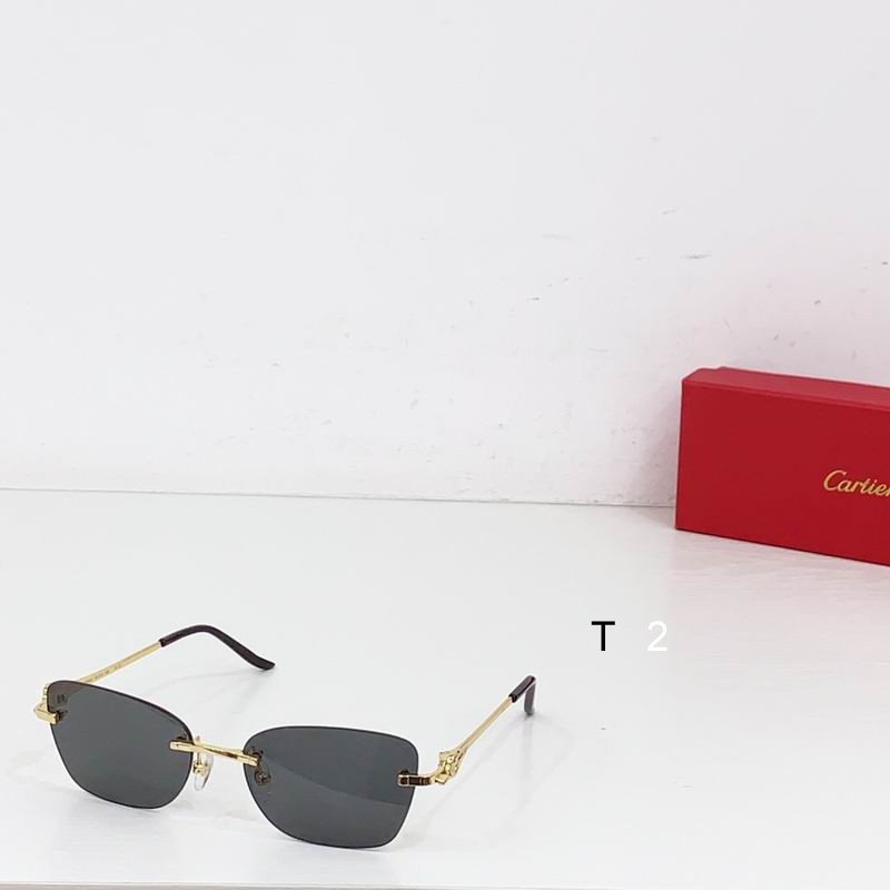 Cartier CT0566S 55 18-140 b02