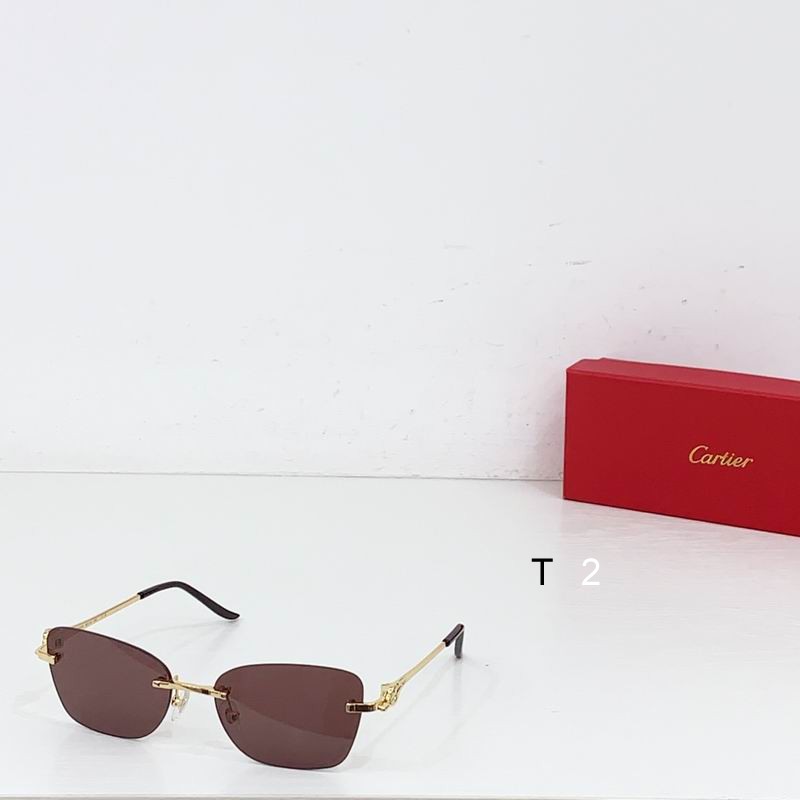 Cartier CT0566S 55 18-140 b04