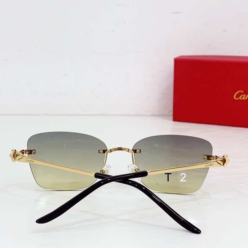 Cartier CT0566S 55 18-140 b08