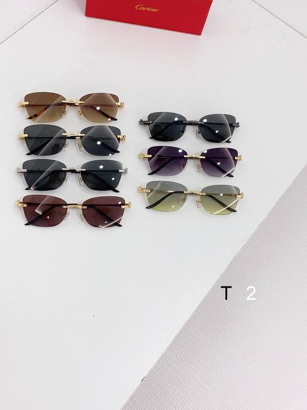 Cartier CT0566S 55 18-140 b09