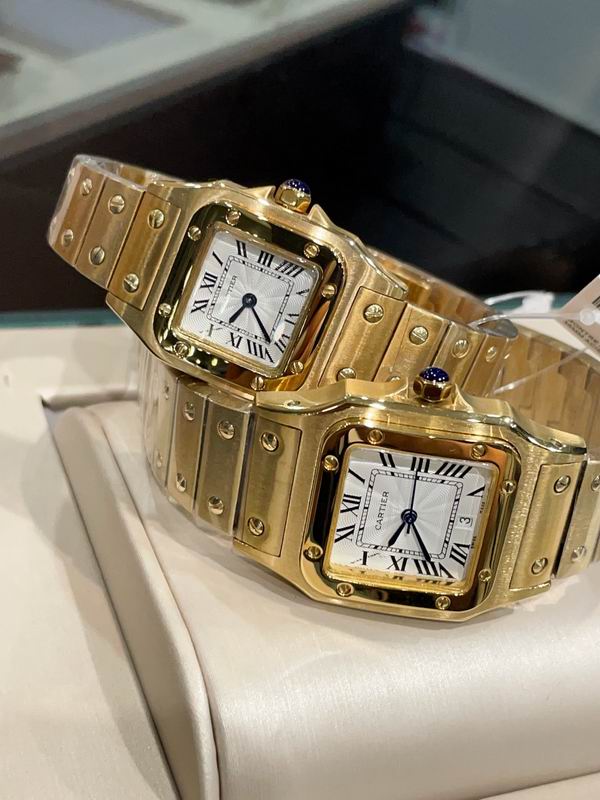 Cartier M31X41mm S26X35mm 01 (10)