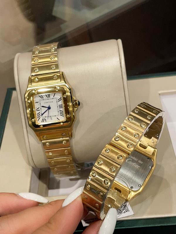 Cartier M31X41mm S26X35mm 01 (11)