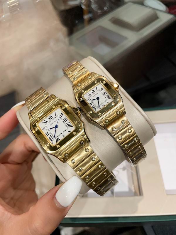 Cartier M31X41mm S26X35mm 01 (13)