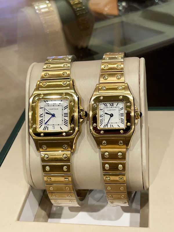 Cartier M31X41mm S26X35mm 01 (14)