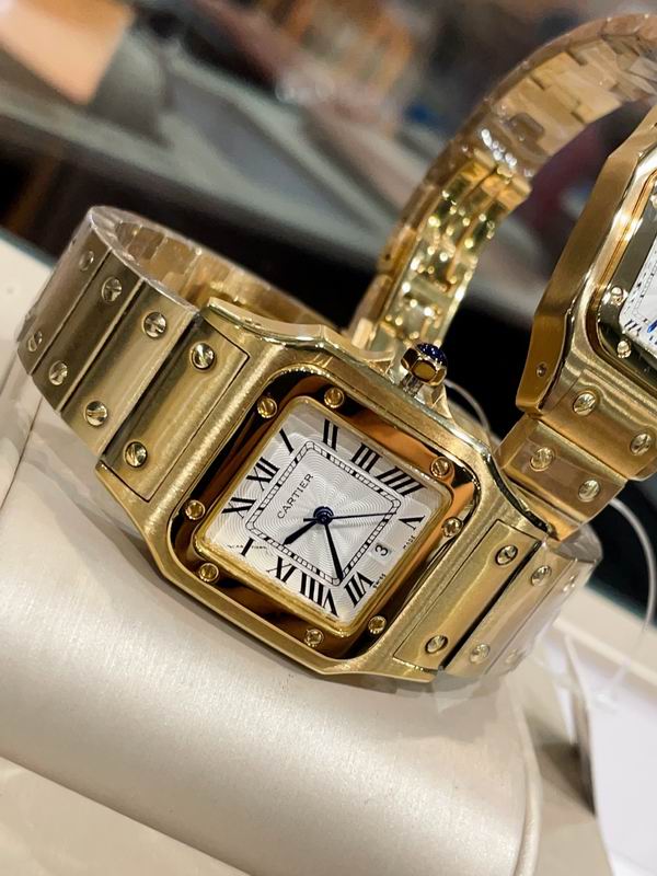 Cartier M31X41mm S26X35mm 01 (15)
