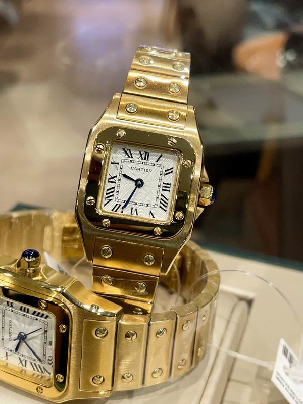 Cartier M31X41mm S26X35mm 01 (16)