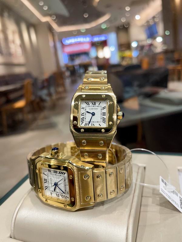 Cartier M31X41mm S26X35mm 01 (17)
