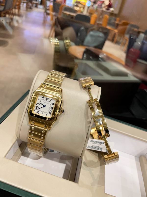 Cartier M31X41mm S26X35mm 01 (18)