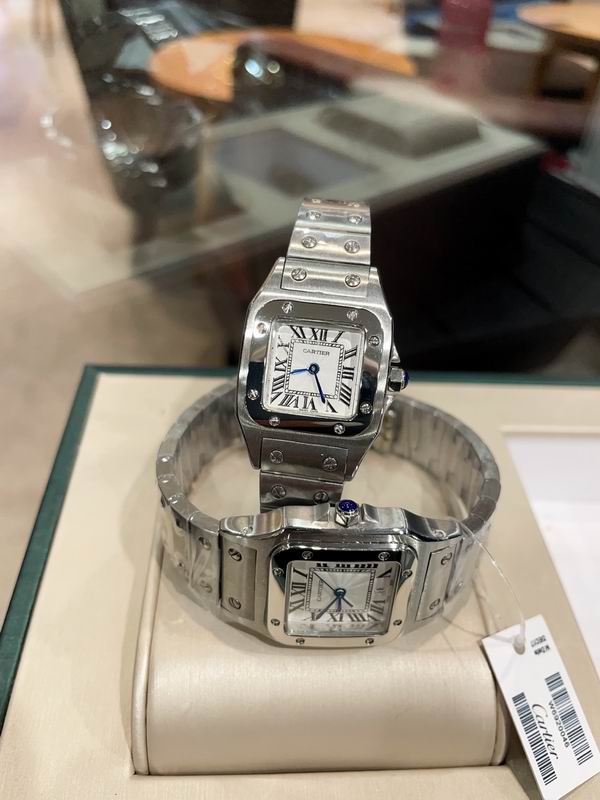 Cartier M31X41mm S26X35mm 01 (19)